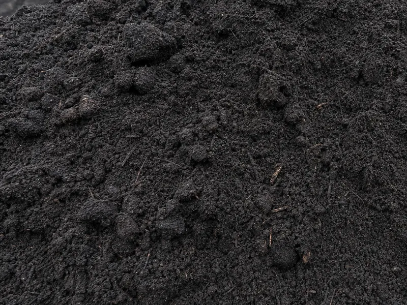 Close-up of dark screened black dirt (generic material photo)